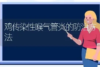 鸡传染性喉气管炎的防治方法