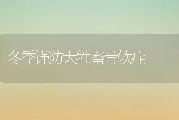 冬季谨防大牲畜骨软症