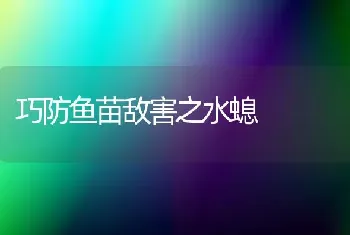 巧防鱼苗敌害之水螅