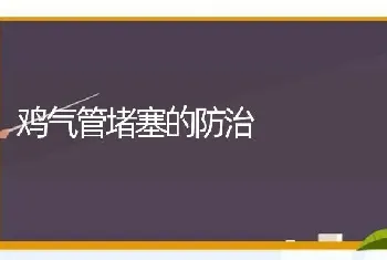 鸡气管堵塞的防治