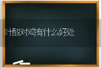 如何防治羊急性瘤胃鼓气