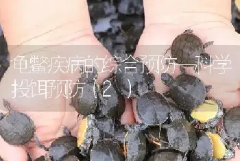 龟鳖疾病的综合预防—科学投饵预防(2)