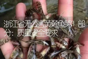 浙江省无公害黄颡鱼第3部分：质量安全要求