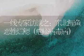 一线专家访谈之：东北鲤鱼恶性烂鳃(疱疹病毒病)