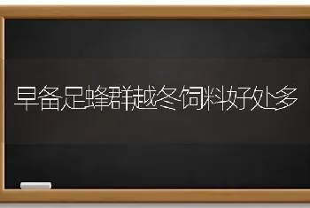 早备足蜂群越冬饲料好处多