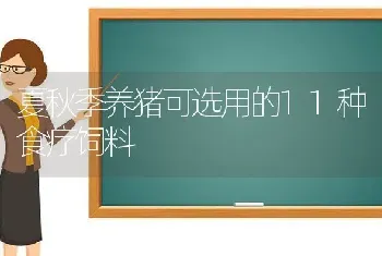 夏秋季养猪可选用的11种食疗饲料