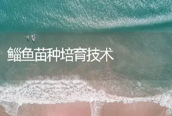 鲻鱼苗种培育技术