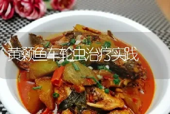 黄颡鱼车轮虫治疗实践