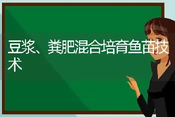 豆浆、粪肥混合培育鱼苗技术