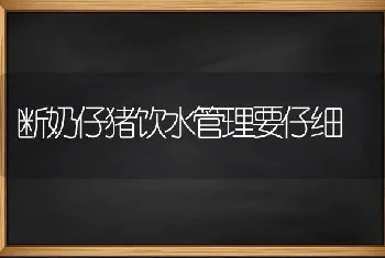 断奶仔猪饮水管理要仔细