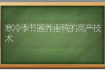 寒冷季节圈养蛋鸭的高产技术