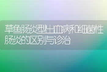 草鱼肠炎型出血病和细菌性肠炎的区别与诊治