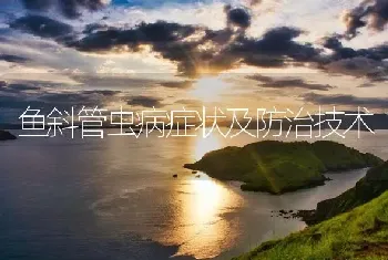 鱼斜管虫病症状及防治技术