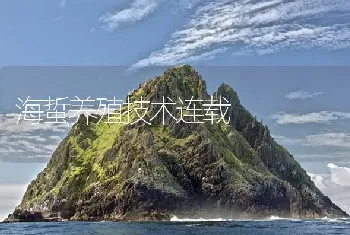 海蜇养殖技术连载