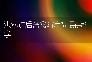 洪涝过后畜禽防病饲喂讲科学