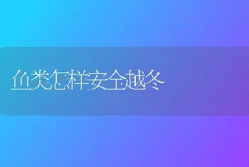 鱼类怎样安全越冬