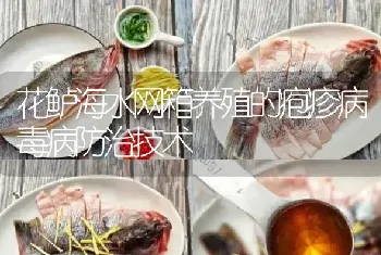 花鲈海水网箱养殖的疱疹病毒病防治技术