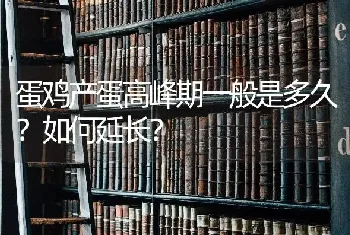 蛋鸡产蛋高峰期一般是多久?如何延长?