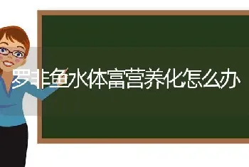 罗非鱼水体富营养化怎么办