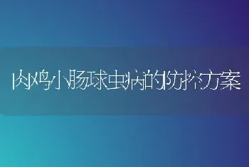 肉鸡小肠球虫病的防控方案