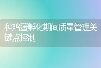 种鸡蛋孵化期间质量管理关键点控制