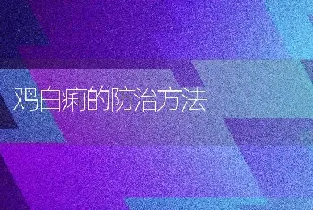 鸡白痢的防治方法