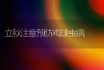 立秋注意预防鸡球虫病