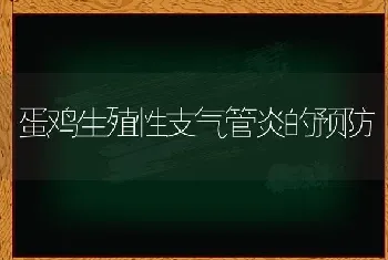 蛋鸡生殖性支气管炎的预防