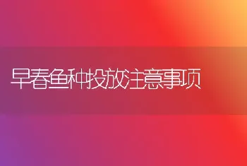 早春鱼种投放注意事项