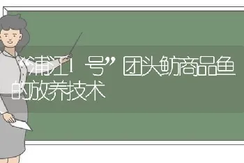 “浦江1号”团头鲂商品鱼的放养技术