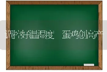 调控好温湿度 蛋鸡创高产