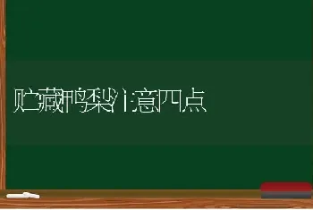 贮藏鸭梨注意四点