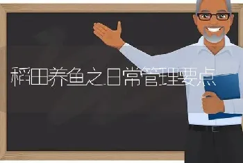 稻田养鱼之日常管理要点