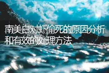 南美白对虾偷死的原因分析和有效的处理方法