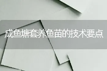 成鱼塘套养鱼苗的技术要点