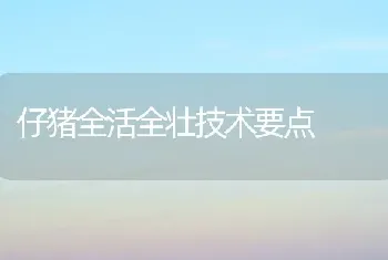 仔猪全活全壮技术要点