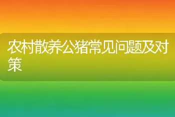 农村散养公猪常见问题及对策