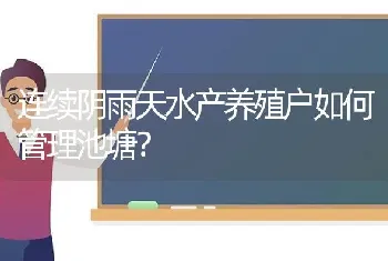 连续阴雨天水产养殖户如何管理池塘?