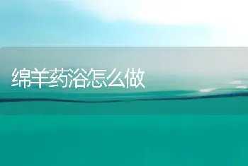 绵羊药浴怎么做