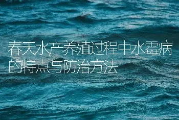 春天水产养殖过程中水霉病的特点与防治方法