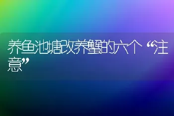 养鱼池塘改养蟹的六个“注意”