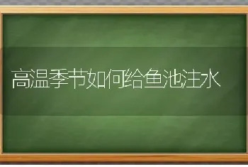 高温季节如何给鱼池注水