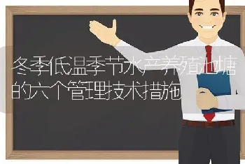 冬季低温季节水产养殖池塘的六个管理技术措施