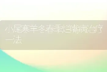 小尾寒羊冬春季烂嘴病治疗一法