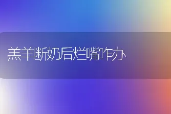 羔羊断奶后烂嘴咋办