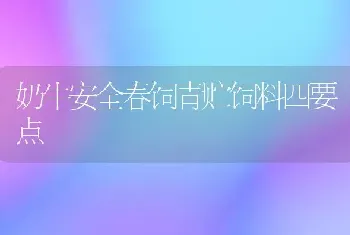 奶牛安全春饲青贮饲料四要点