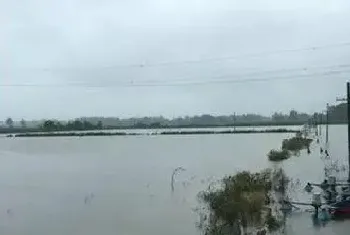 持续强降雨天气,水产养殖户如何应对