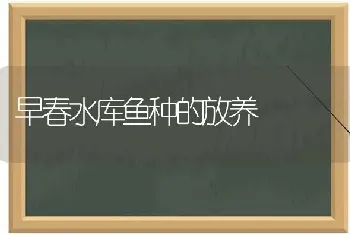 早春水库鱼种的放养