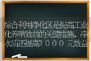 综合利用净化区是提高工业化养殖效益的关键措施,净化水质还提高2000元效益