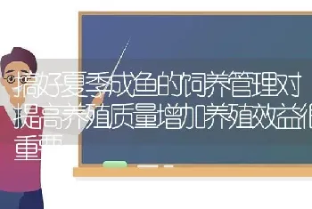 搞好夏季成鱼的饲养管理对提高养殖质量增加养殖效益很重要